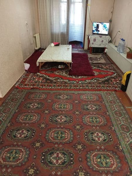 Student o'g'il bolalarni sheriklikga ijaraga qoyamiz hamma s