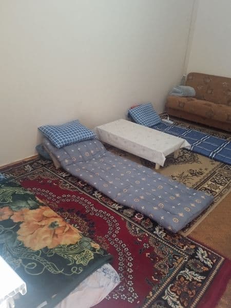 Живу в однокомнатной квартире.  <br />
Пускаю по 800 тысячи  — фото 3