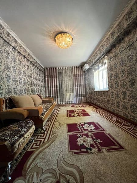 Talaba qizlarga sheriklikka ijaraga beriladi