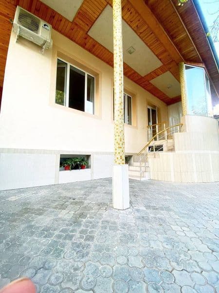 Paqat qizla qoʻyladi. Toza ozoda hamma joyga qarab oʻtradiga