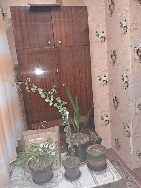 Аренда Квартира<br />
Бел тепа <br />
2 хона<br />
350$<br /