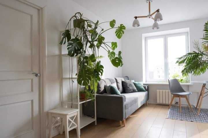 2 комнатную квартиру на 7этаже,<br />
В квартире есть все не