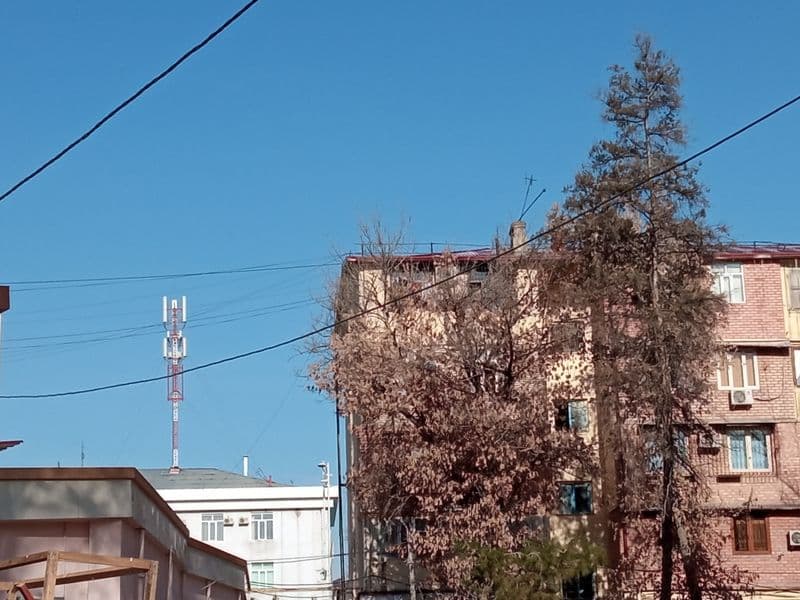 Квартирага студент болаларни оламиз. 3 хонали. Хозяйкали. — фото 2