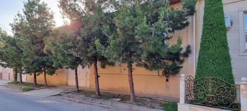 Uy tayyor daromat kep turgan talabalar yashaydi biz xamma jo