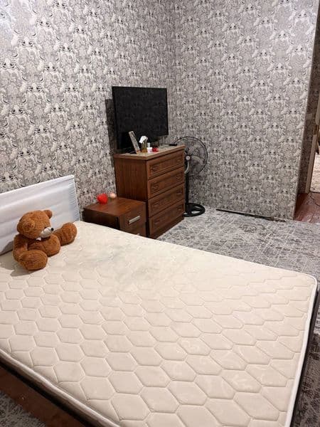 Chilonzor -24 kv <br />
2/4/4/400$<br />
91 001 50 50