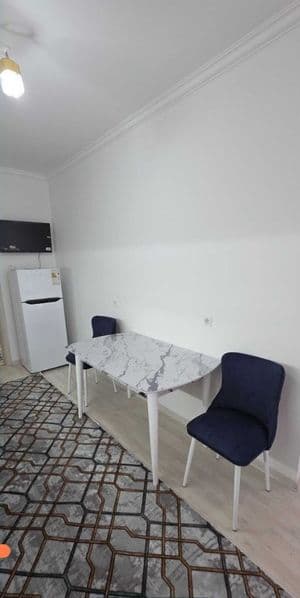 АРЕНДА - 3/1/25.<br />
массив Карасу 5.<br />
Ориентир: нова — фото 5