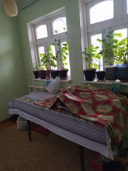 Oʻqiydigan va ishlaydigan bollarga kvartira.  <br />
Doʻstli — фото 3