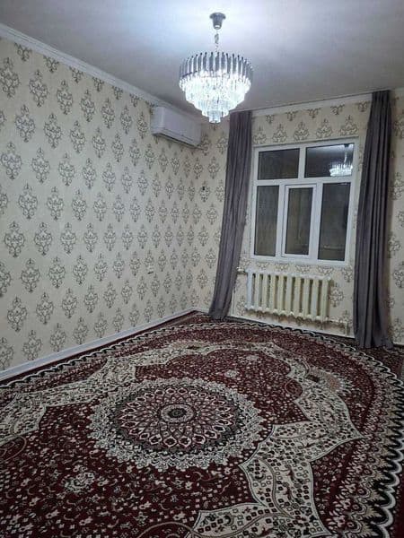 Chilonzor 16 kv student bollarga sheriklikka 1 kishi kerak 2 — фото 2