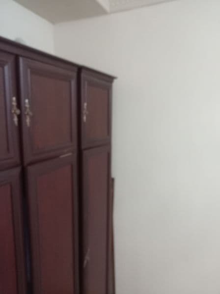 Ikkta honada oila turadi bir honasi bosh yahshi aqiĺi ayolla