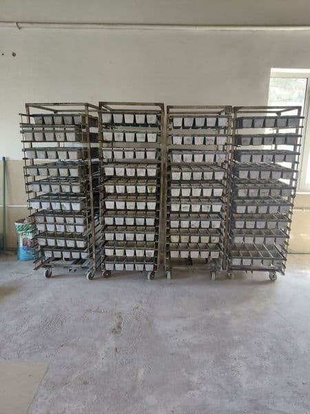 Тайёр нон цехи узок муддатли ижарага берилади. Шароитлари ма — фото 2