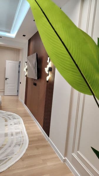 Yakkasaroy sity mool hovlida karzinka joylashgan tinch hovli