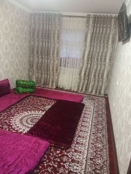 Aqilli qizlarga o'qiydigan iwlidigan qizlar olinadi Kiwi bow — фото 4