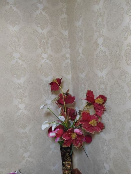 Коракамиш 2/4 тансикбой бозорчани олдида,тоза яшайдиган кизл