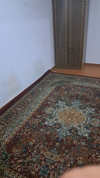 Ijara shartnoma qilib beriladi : Sutudentlar uchun 3 ta bola — фото 2