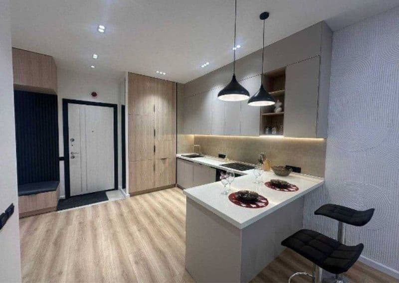 Акай сити<br />
2/23/25<br />
55кв<br />
750$<br />
<br />
+ — фото 3