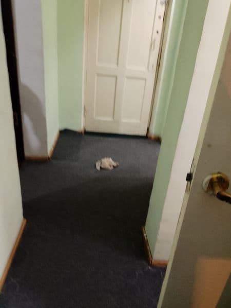 Сдаю  свою 1*2 комнатную квартиру на Авиасозлар 2. Оринтир д — фото 5