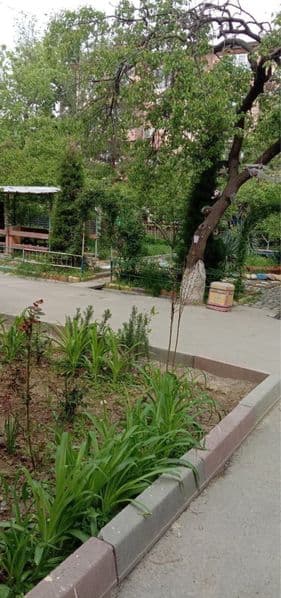 Аренда<br />
Чилонзор 22<br />
Ор-р Учтепа Хокимият <br />
1 — фото 5