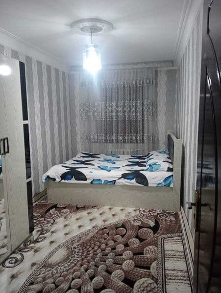 3 ta student, tartibli qizlar ijaraga olinadi, sheriklikka.  — фото 4