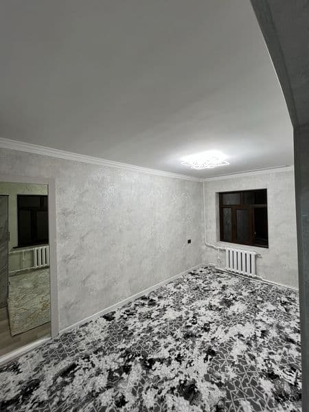 Ijaraga berildi tel qimela<br />
Qora qamish 1/2 soy boʻyi<b — фото 4