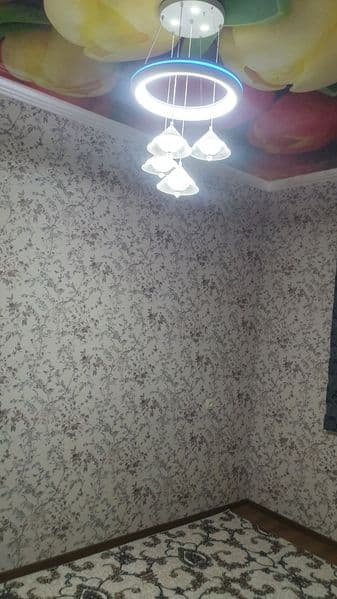 Сергели-6а<br />
2/1/7<br />
Шикарнейшая локация <br />
В пя — фото 3