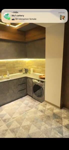 Аренда. Ц-5 двух комнатная, с огромным огородом, выход во дв