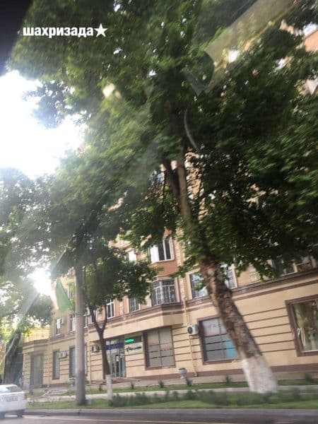 DARXON б Сдаётся новая квартира в новостройке — фото 5