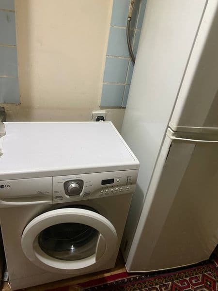 Shayhontoxur tumanidan tinchlik metro yaqinida bollarga sher — фото 4