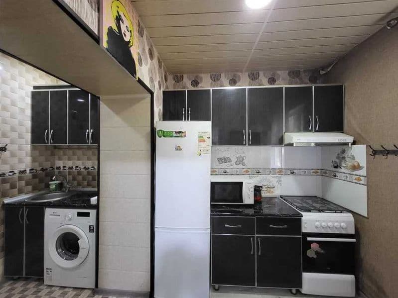 Аккурган (Новомосковская)<br />
<br />
Цена: 450$<br />
<br  — фото 2