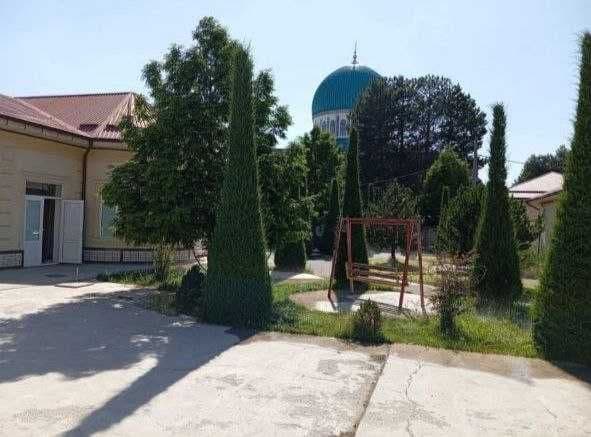 Mirzo Ulugʻbek tumani Chimgan Eko bozorni orqasidan bollarga — фото 3