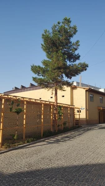 O’g’il bollaga Chorsu Metro, bozor, shox bekatga juda yaqin 