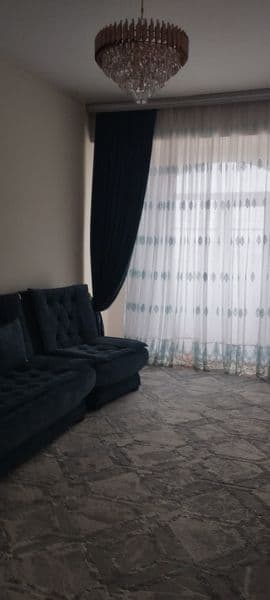 Отдам порядочной и чистоплотной семье с взрослыми детьми