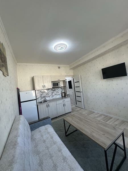 Аренда, 1ком.квартира,20кв.м.,все условия внутри, имеется те — фото 3