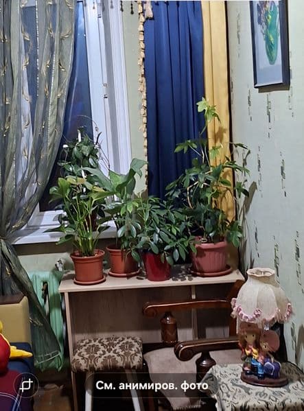 Комната светлая, чистая.Паркет, раскладнойдиван, шифоньер,ши — фото 2