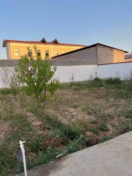 Янги ҳаёт тумани, Янги Гулзор маҳалласи, мўлжал Фут сити боз — фото 3