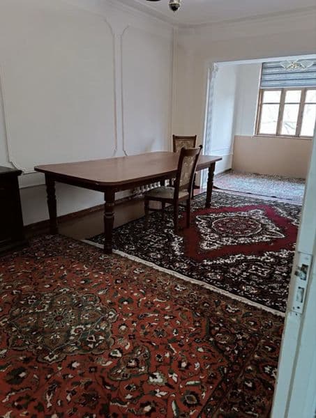 Sebzorda zaksni oldida qizlarga sheriklikga joy bor toza ozo — фото 3