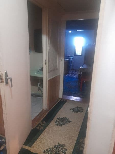 kirmoshina kanditsianer bor, uzoqroq muddatga turadiganla qo — фото 5