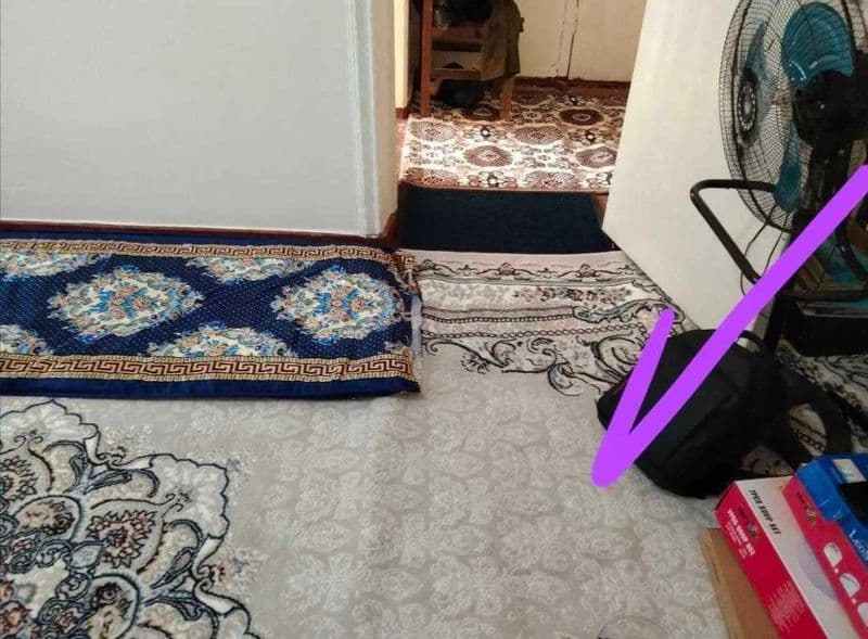 Yakkasaroy til va adabiyot instituti yonida qizlar bilan tur — фото 3