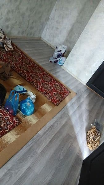 Аренда чиланзор 21 квартилда 2 хонали квартира ижарага берил — фото 4