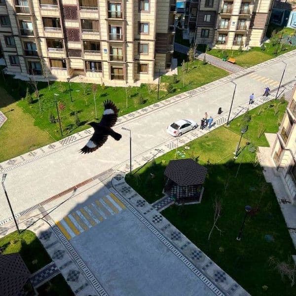 Яккасарайский район<br />
ЖК Istanbul City<br />
Охраняемый 