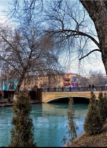 Сдётся 3-х комнатная квартира, без ремонта, но с каникулами  — фото 3