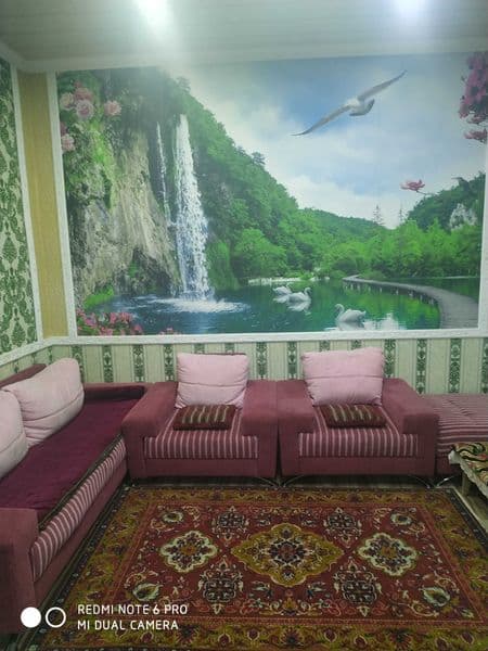 Пущу одного человека в частный дом у метро Пушкина. На подсе — фото 2