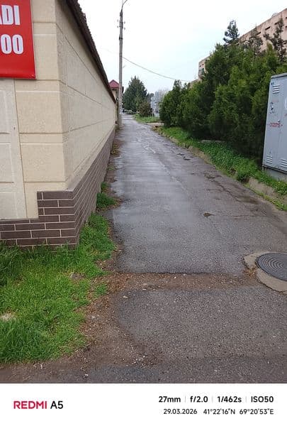 Шерик бола кере ижарага куяман селхоз сампи якинида авир мах