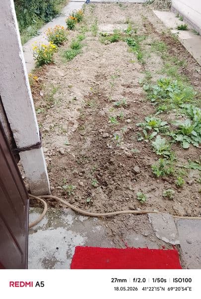 Ижарага куяман шерик бола кере шароити яхши сельхоз сампи як