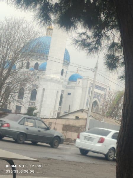 Безмаклер<br />
Безмаклер<br />
Безмаклер<br />
Бектемирский