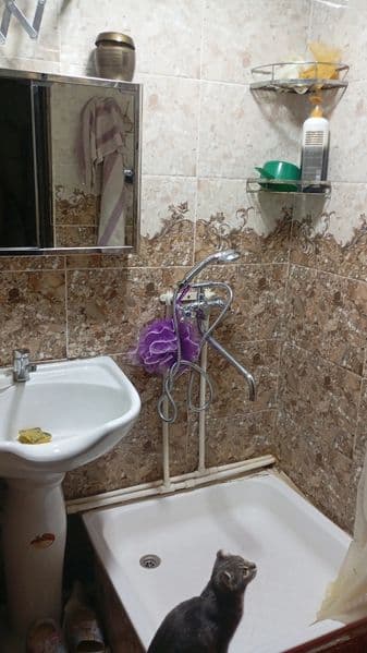 Olmazor metroni yonida sheriklika qizlarga joy bor hamma sha — фото 3