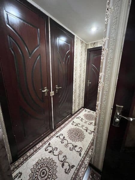 Talaba qizlarga sheriklikka ijaraga beriladi — фото 2