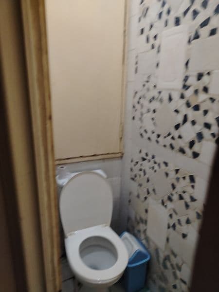 Mirzo Ulug'bek tumani Boz 1 uy ozimiziki maklerla bezovta qm — фото 4