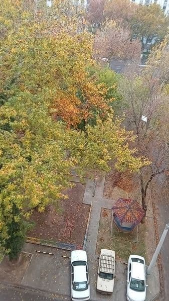 Семья европейская,порядочная сдаст уютную комнату после ремо — фото 5