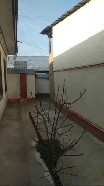 Sergeli ozgarish moljal yujni vagzal orqasidagi mahhala haza — фото 2