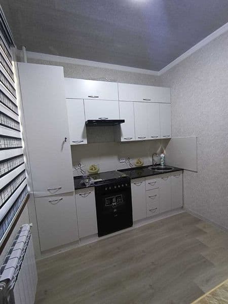 Арена догосрочная 1-комн квартира псих больница — фото 2